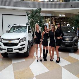 A6_feria_automovil_Fontanar_2017